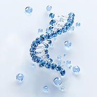 Полинуклеотиды